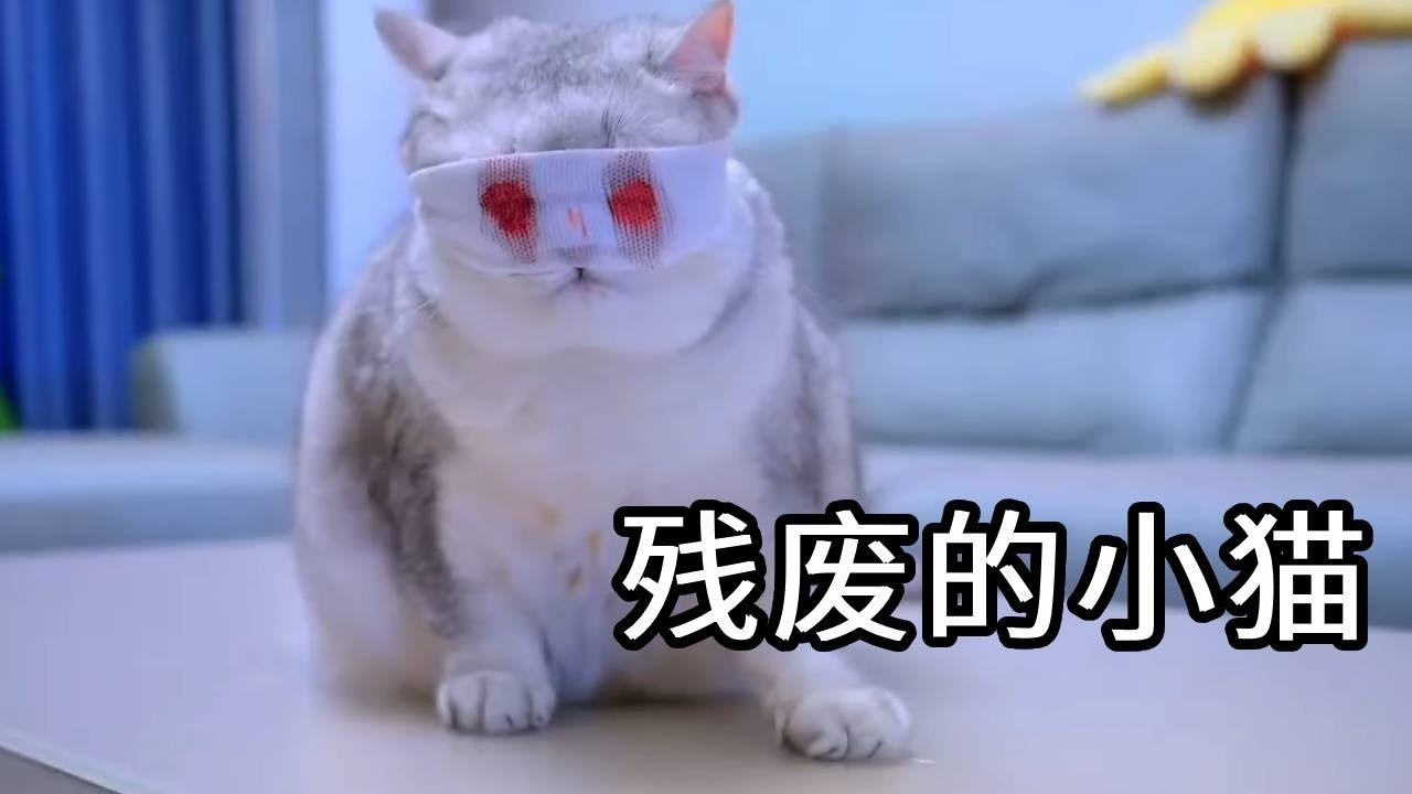 妹妹每天都要照顾瞎眼的哥哥，心生不满对哥哥大吼大叫！没想到背后另有隐情【七宝小圆子】