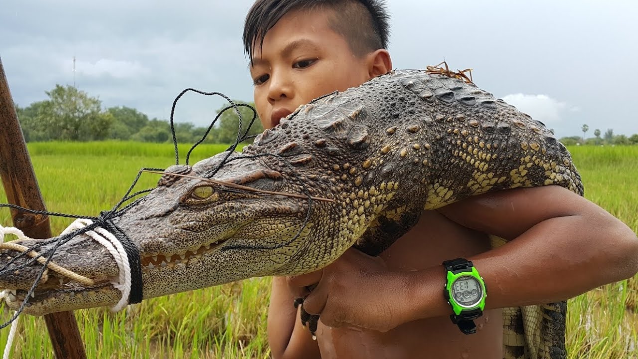 Primitive Technology: Simple DIY Crocodile Trap Using Real hand That Work 100%
