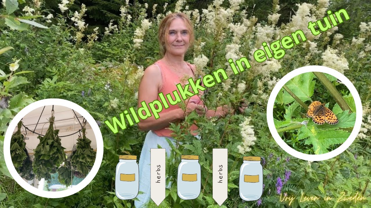 Wildplukken - Zweden