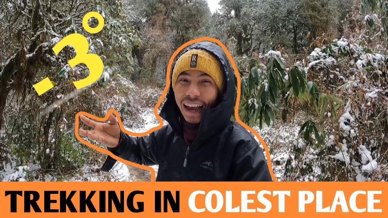 Live snowfall in south Sikkim || Mainam wildlife Sanctuary || Bhalay dhunga ||