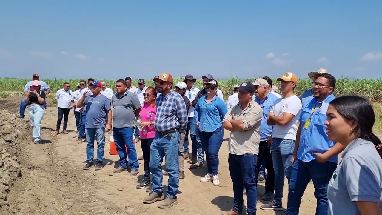 Soca-Portuguesa realiza días de campo para fortalecer manejo biológico y sanitario de la caña