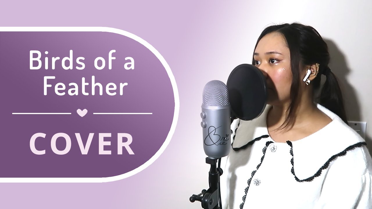 Birds of a Feather - Billie Eilish | Cover by BriCie ft. @AnimeMidi