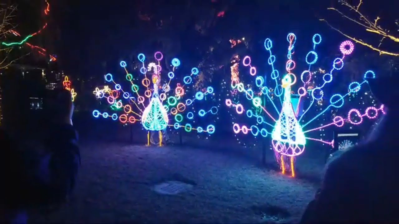 Music Christmas Lights & Carnival Rides In New Orleans City Park  Clark Griswold would be PROUD