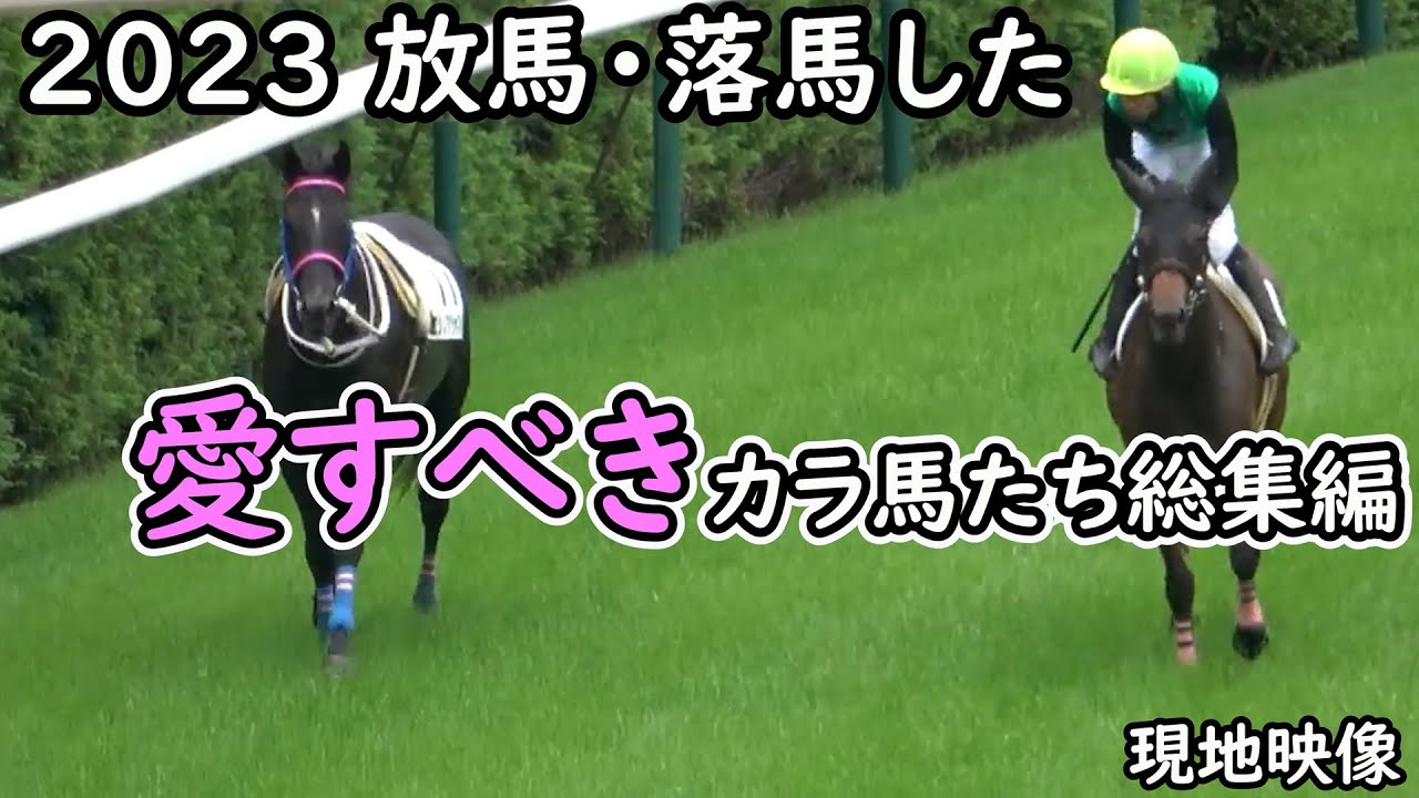 【競馬】2023 放馬・落馬した愛すべきカラ馬たち総集編 現地映像