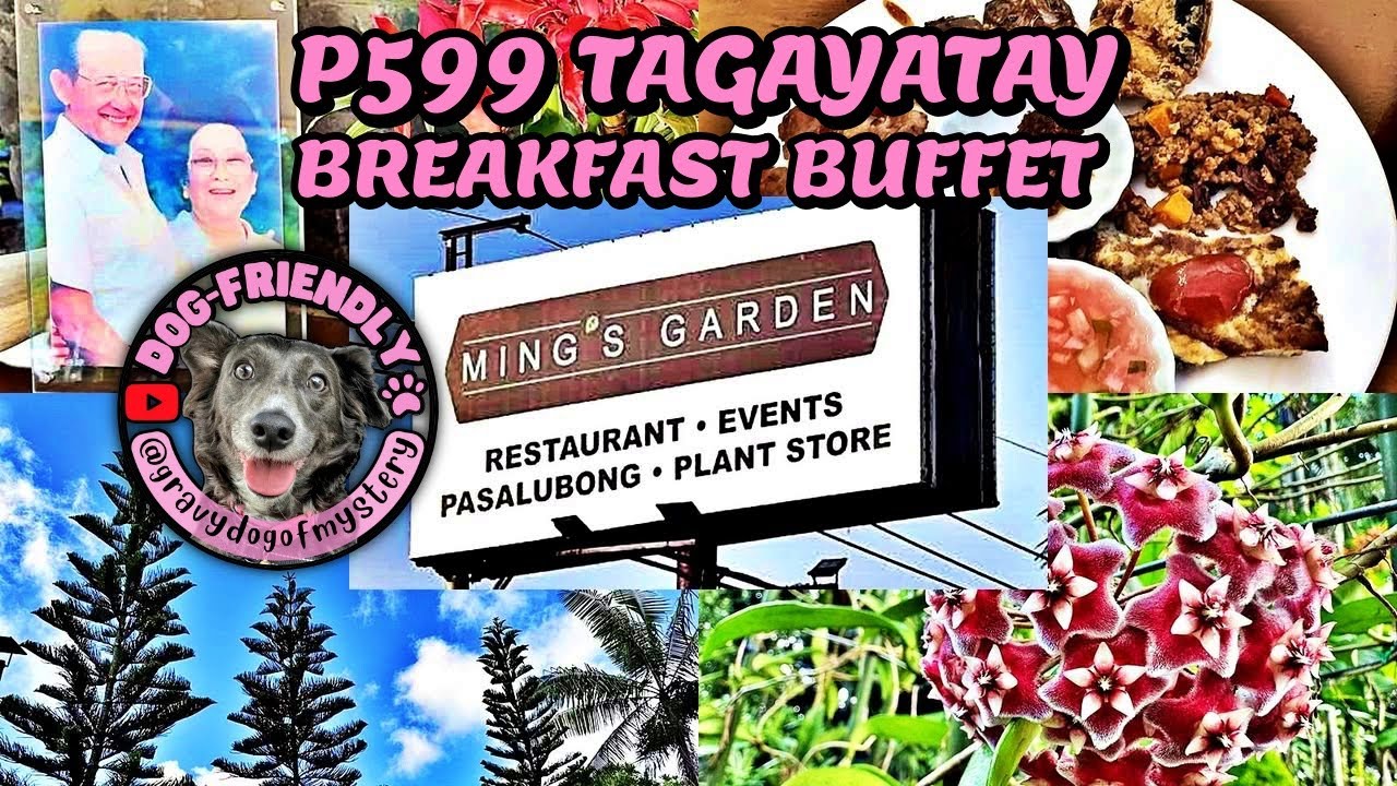 Ming's Garden 🍽️ Weekend Breakfast Buffet With Dog 🐶 pet-friendly restaurant in Tagaytay, Cavite 🇵🇭