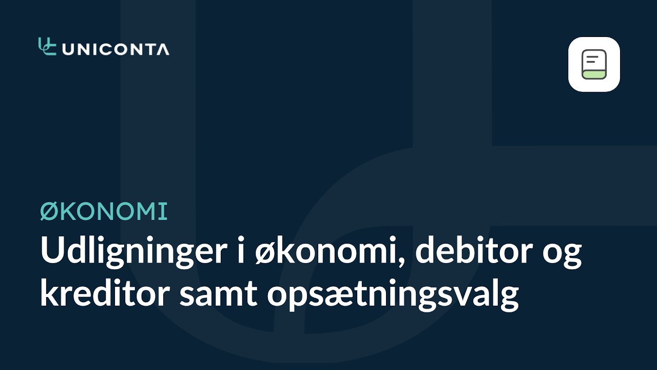 Udligninger i økonomi, debitor og kreditor samt opsætningsvalg