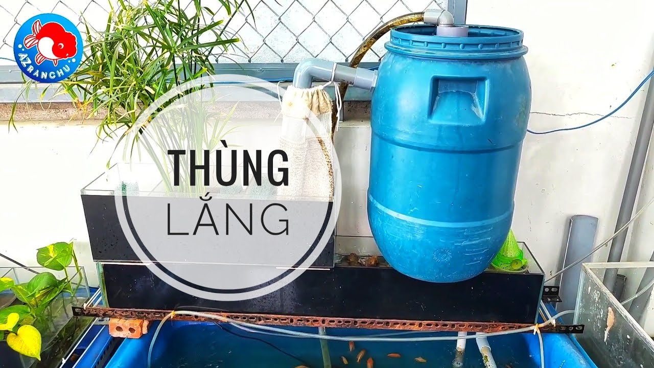 Fish 32: Cách làm thùng lắng mini, sử dụng cho lọc tràn trên