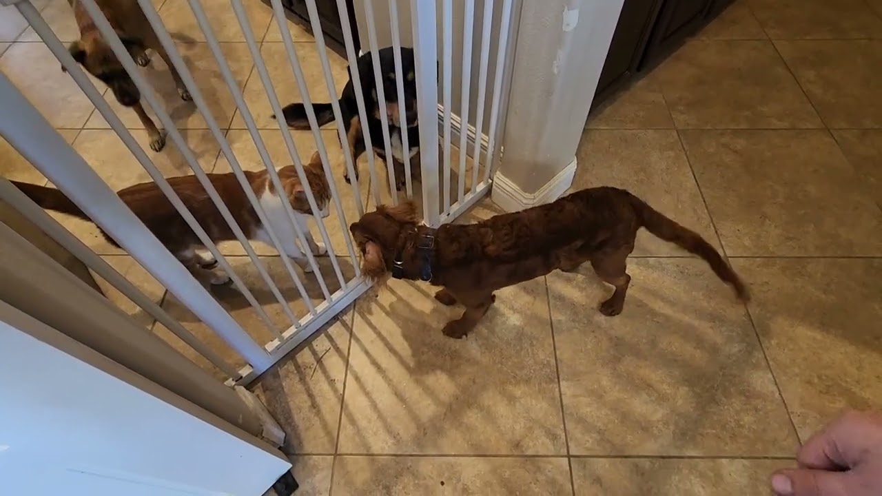 Ryder Day 11 update