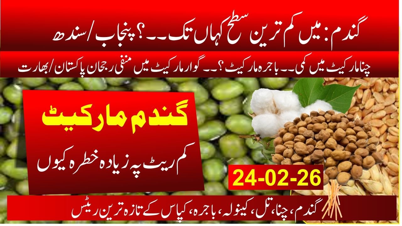 today wheat price in future 2026 | inter national Market Guar, chana, bajra updated