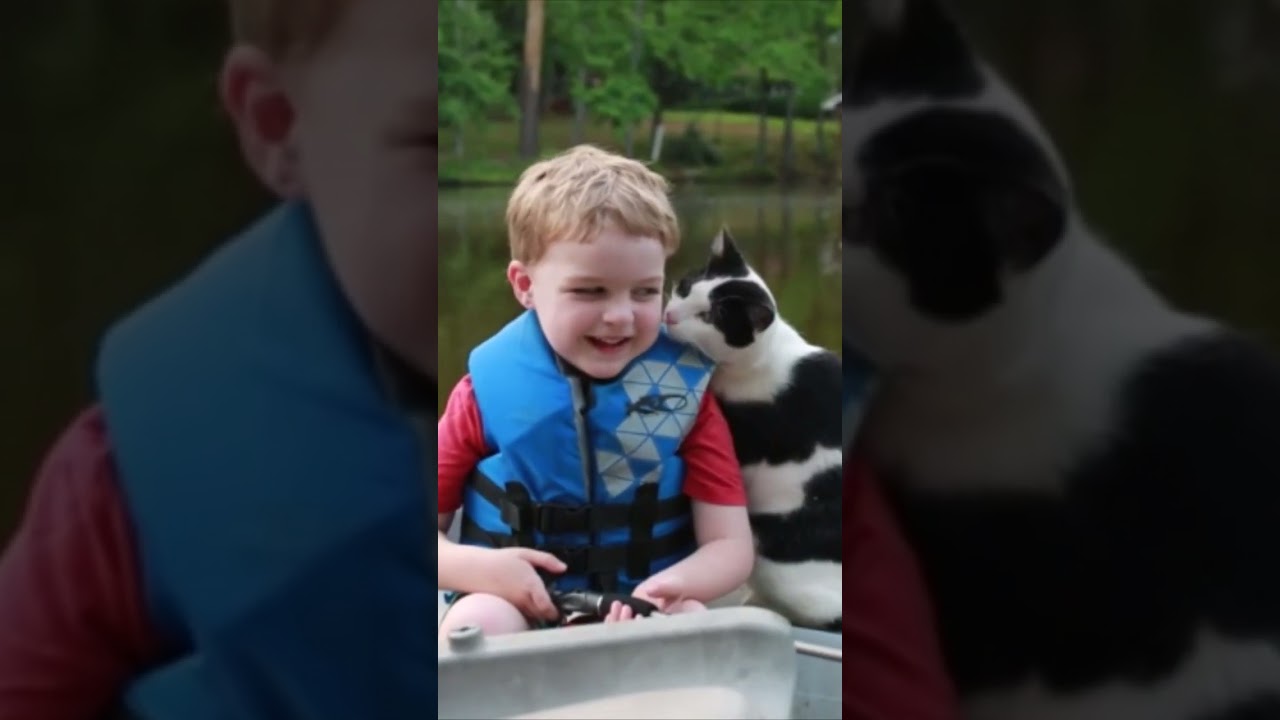Pegarle a tu gato no sirve de nada