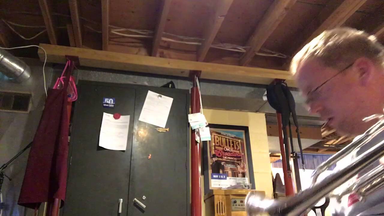 Ray Robinson Vs Vintage Mic-A-Mute