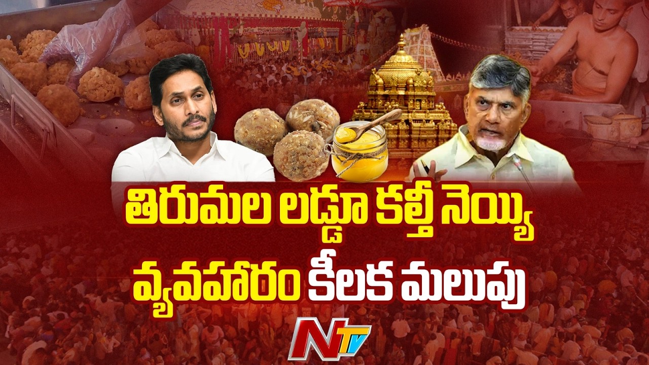 Tirumala  : Key Turning Point in the Tirumala Laddu Adulterated Ghee Case | NTV Telugu