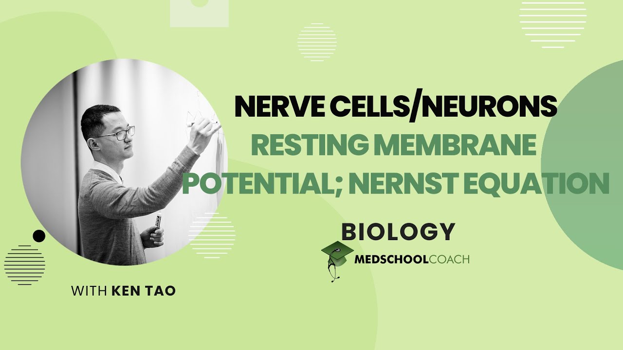 Resting Membrane Potential & Nernst Equation