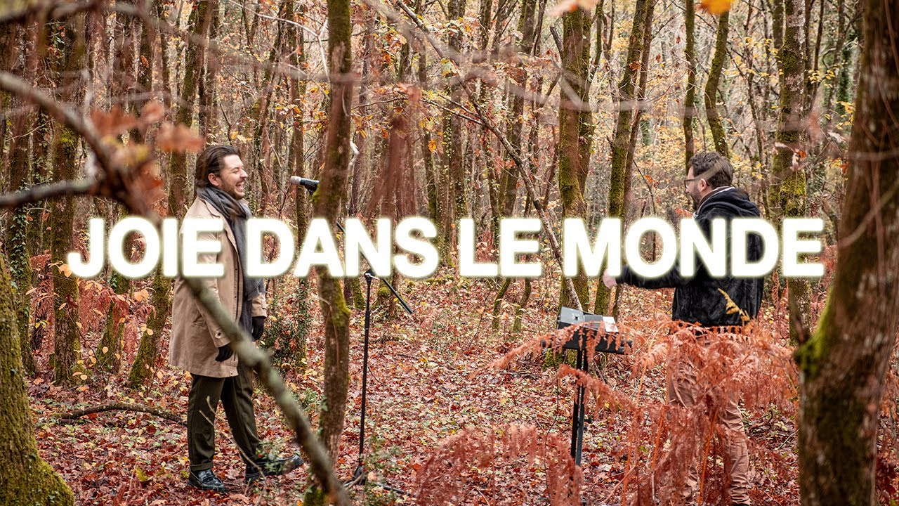 Joie dans le monde - Christ Tomlin ( Cover )