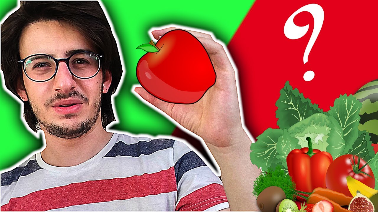 HAMSTERLAR NE YER? || FAYDALI VE ZARARLI BESİNLER || Genel Kurallar