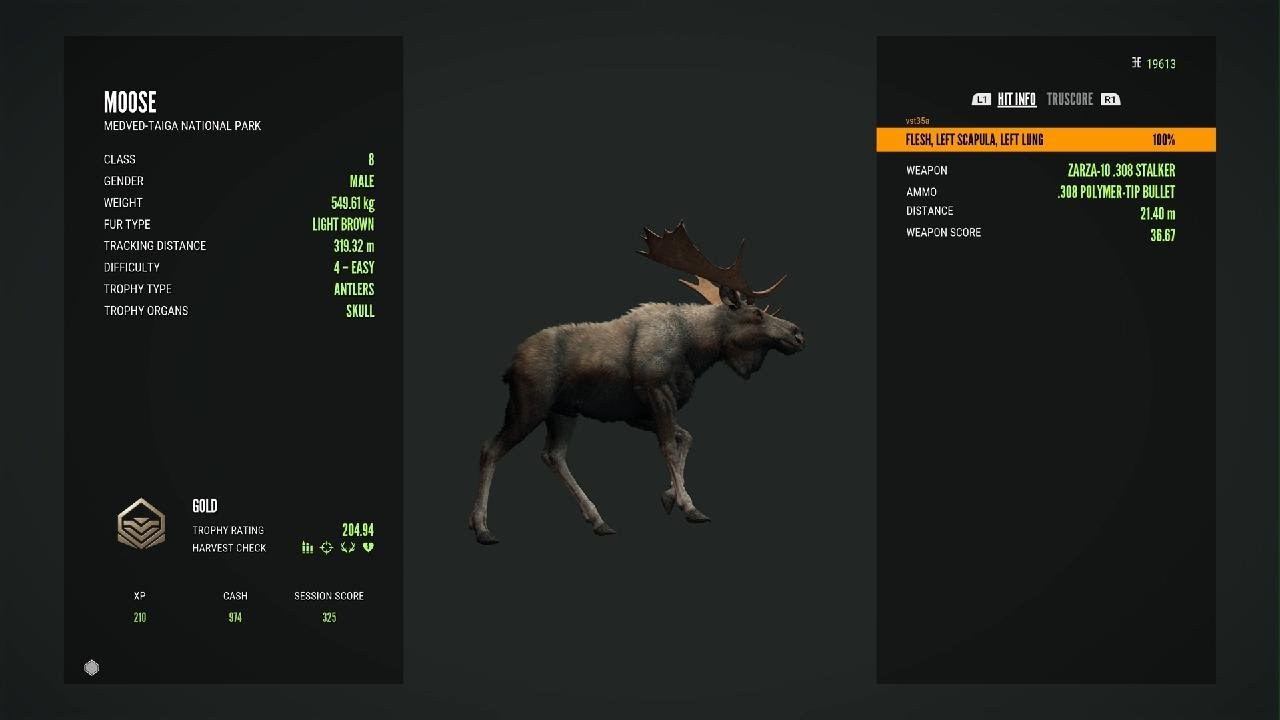 theHunter: Call of the Wild_Gold Musk