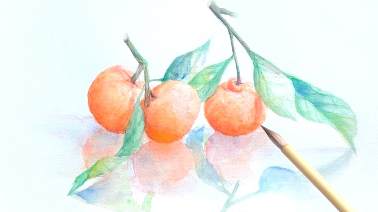 [水彩画]葉付きのミカンを描く/watercolorpainting /制作過程