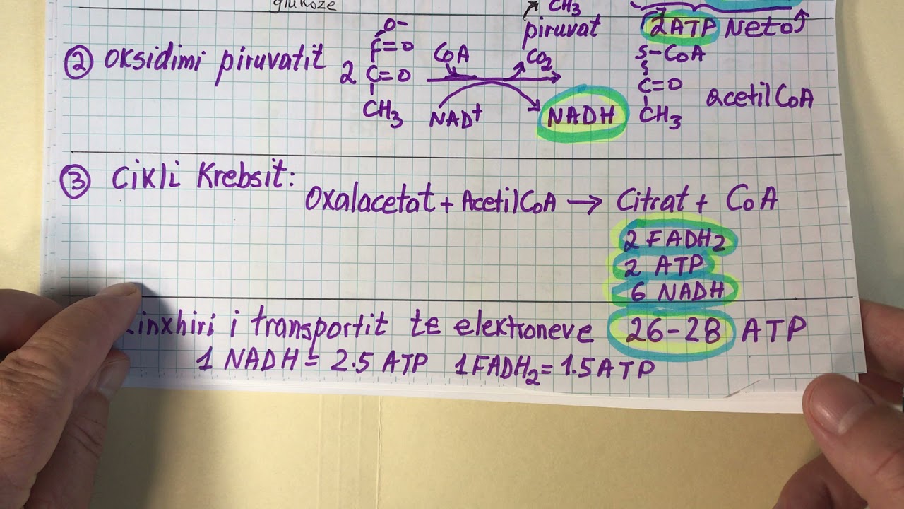 Sa ATP Prodhon Oksidimi i Plote i Glukozes