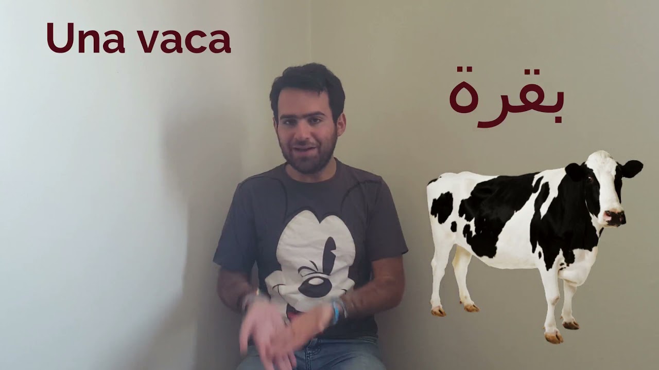 Hola Rémy - Episode 38 - Los animales - هولا ريمي - الحلقة 38- الحيوانات
