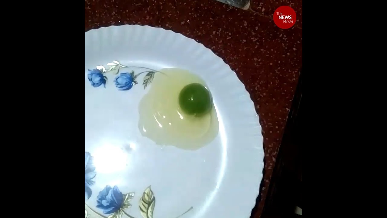 &lsquo;Green-coloured&rsquo; egg yolks in this Kerala man&rsquo;s farm leave experts puzzled