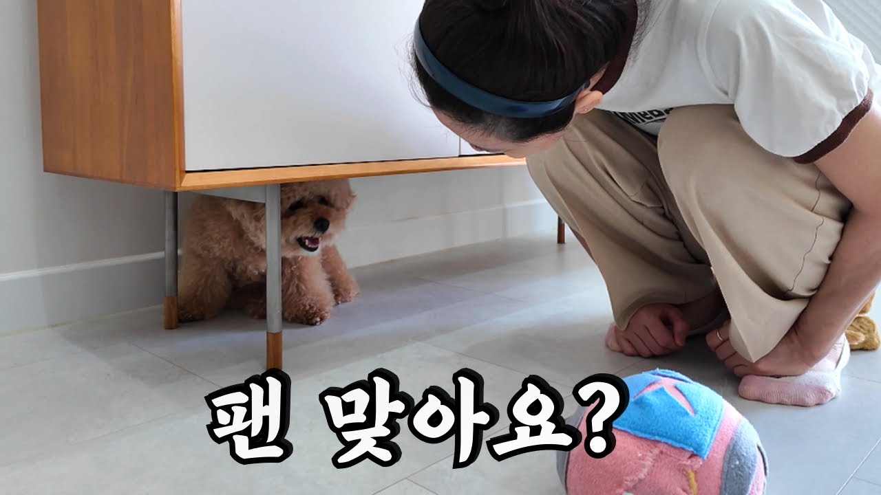 처음으로 구독자를 만났습니다. 근데 구독자 직업이…….