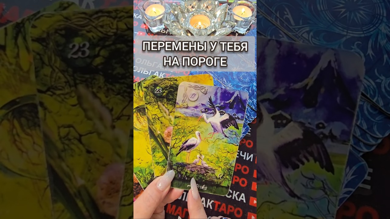 ВАША ЖИЗНЬ МЕНЯЕТСЯ ПРЯМО СЕЙЧАС💯🐦&zwj;🔥❗ Таро расклад гадание онлайн  #таро #tarot #событиянапороге