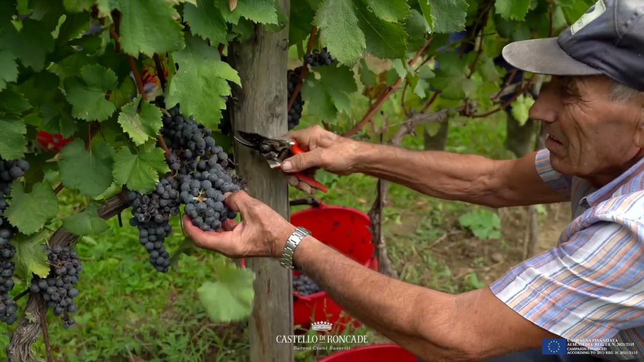 Works | Castello di Roncade