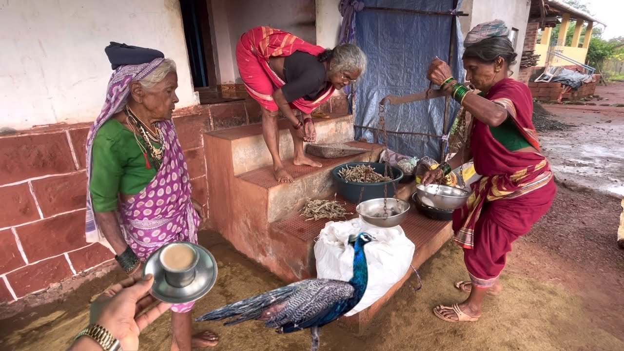 आज आईसोबत एक नवीन गाव फिरलो । गावात राहणारा मोर । कोकणातील सुंदर माझ गाव । ऊक्षी दगडघूम 