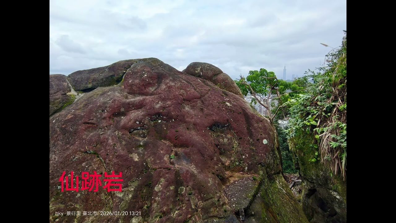 健走趣看天寒變色植物之美：搭捷運來去萬隆站文山森林公園、景美站仙跡岩、公館站台大校園看美景！