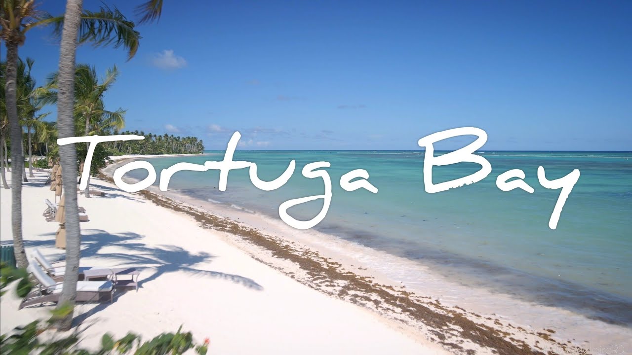 Tortuga Bay, Punta Cana 4K