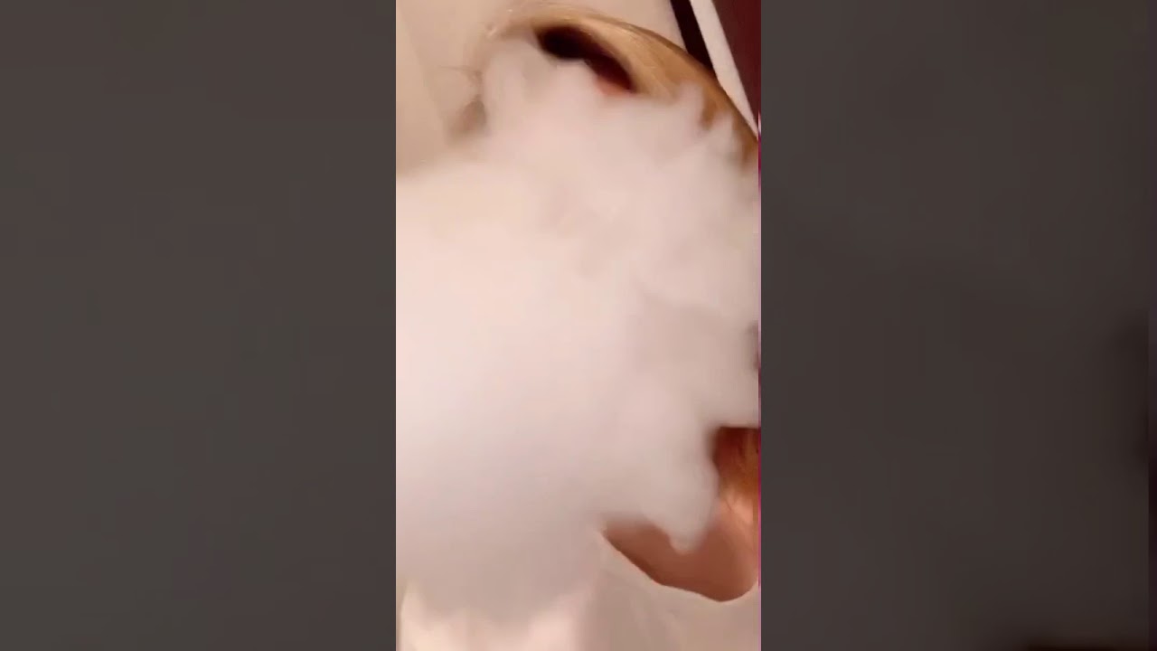 Jester Pod x Cloudcheck 💨🔥