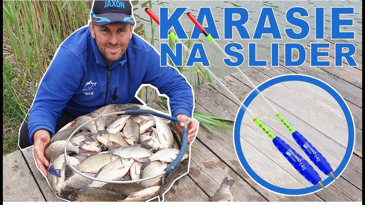 Karasie na Slider
