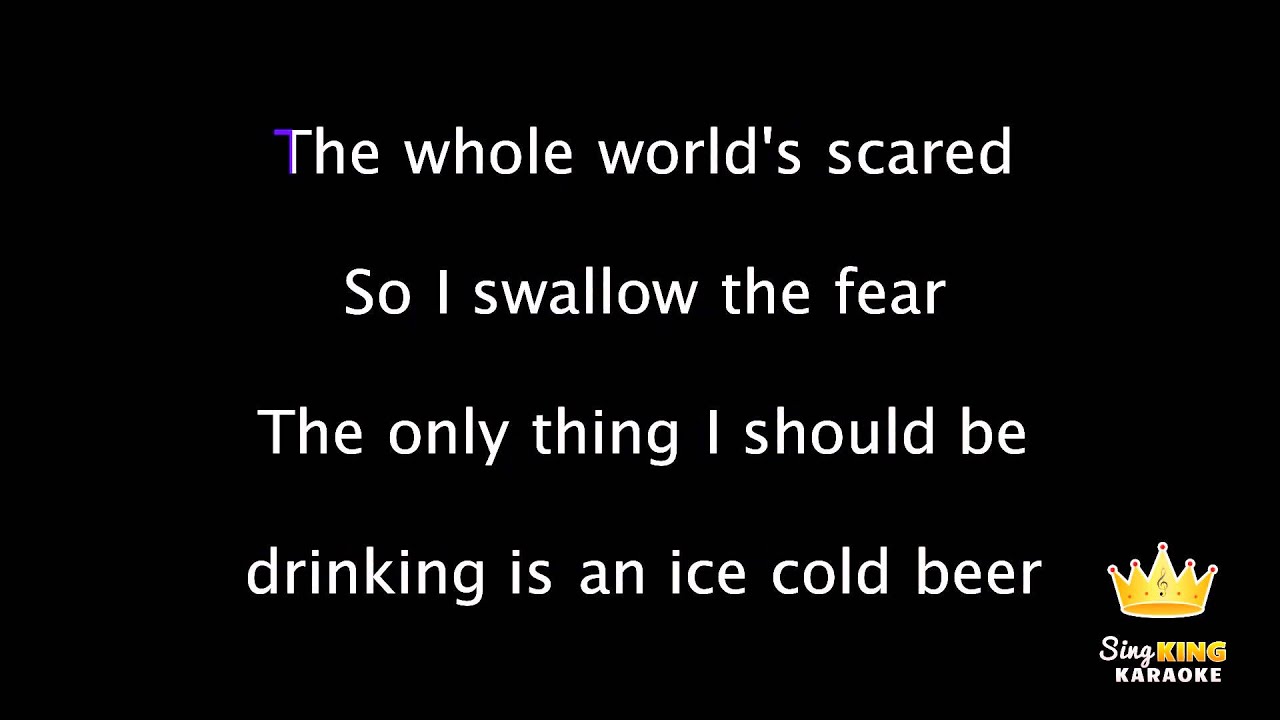 Pink - F**kin' Perfect (Karaoke Version)