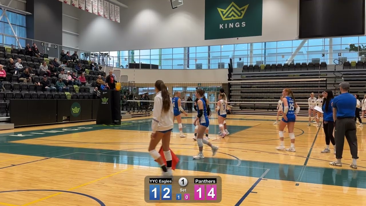 Panthers Set 1
