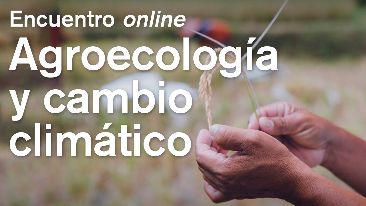 Agroecología y cambio climático, Masterclass con Clara Nicholls