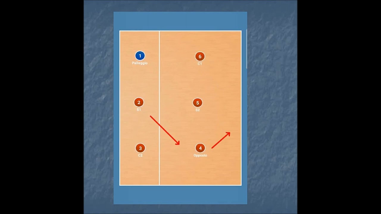 COME IMPARARE E COME INSEGNARE I RUOLI E LE POSIZIONI DI RICEZIONE NELLA PALLAVOLO LA PALLEGGIATRICE