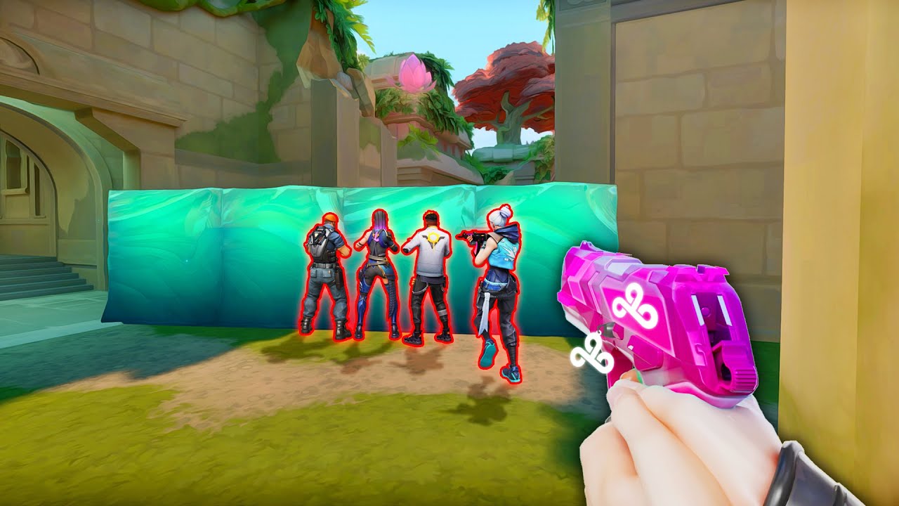 5 Pros vs My Walls