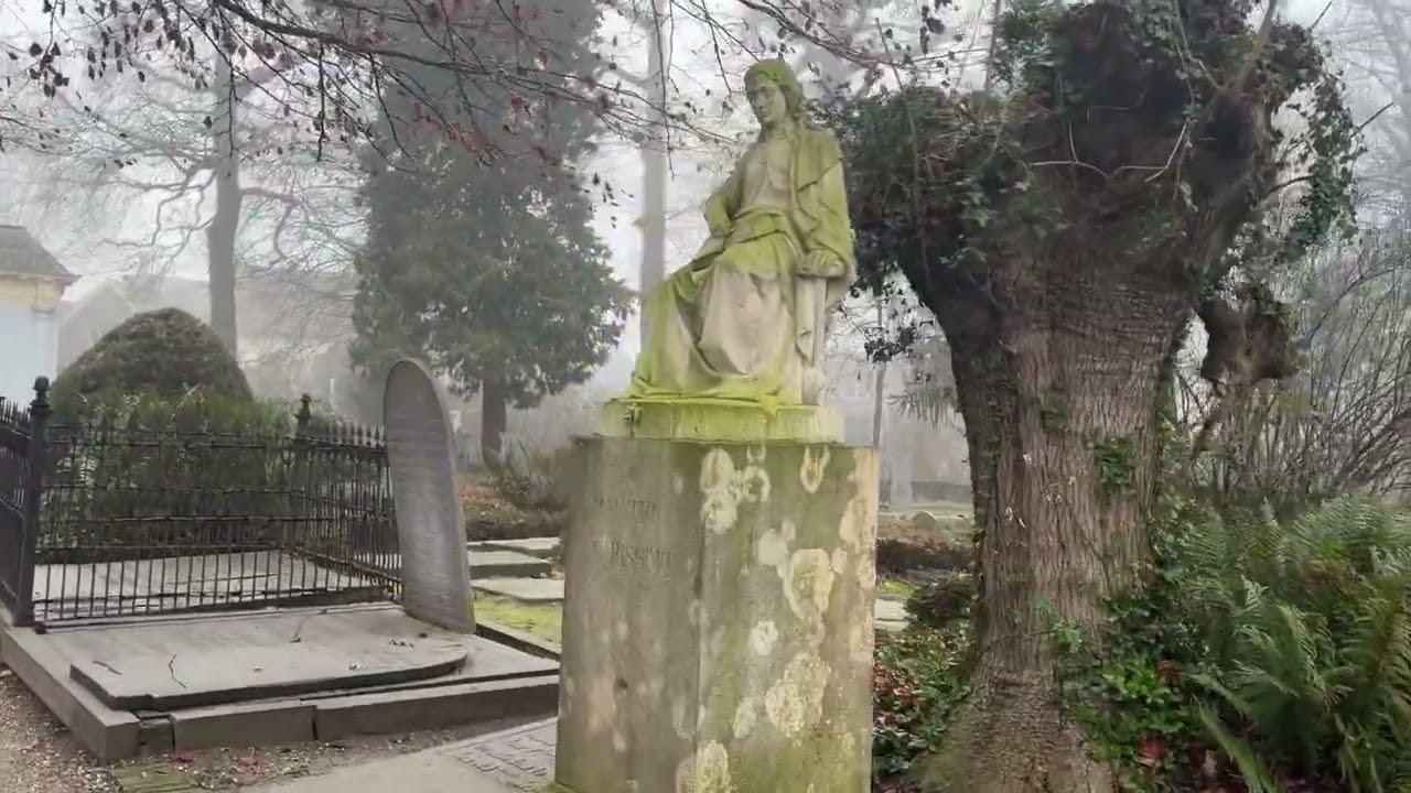 Foggy cemetery with calling Rooks