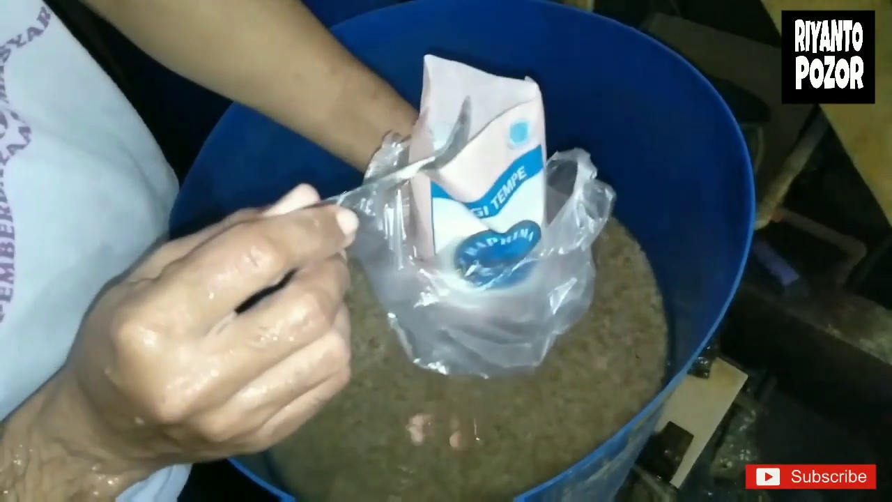Cara peragian dalam proses pembuatan tempe