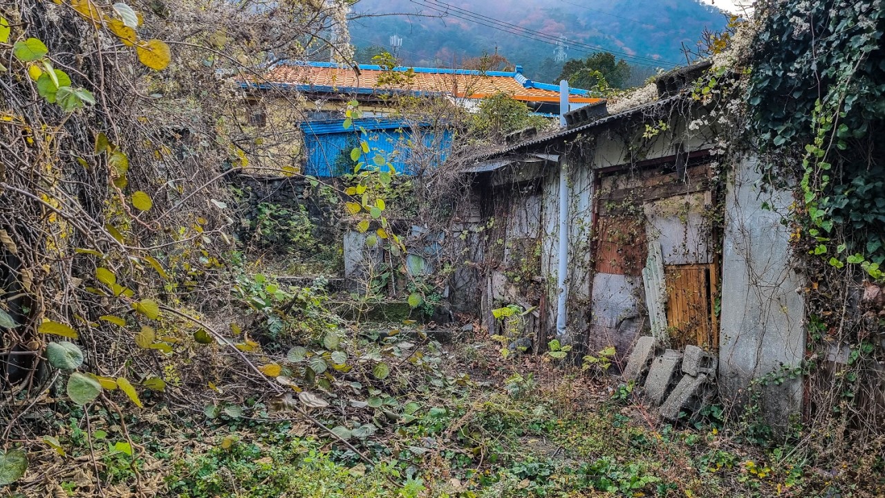 Abandoned Houses in Geoje-do (거제도) | 한국 빈집 탐방