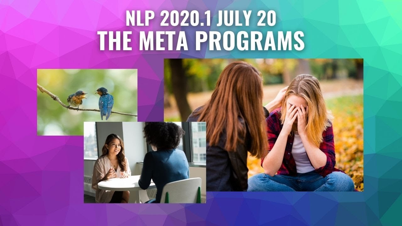 The Meta Programs in NLP