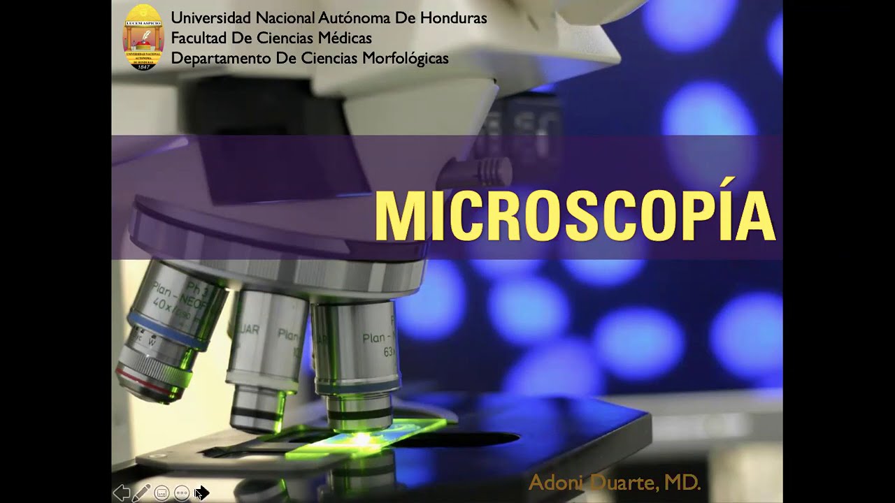 Microscopía