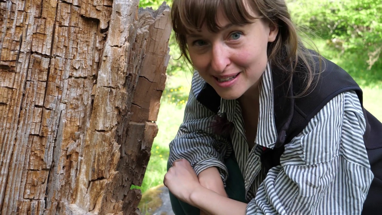 Biotopia - Biologiska museet Natur i Uppland