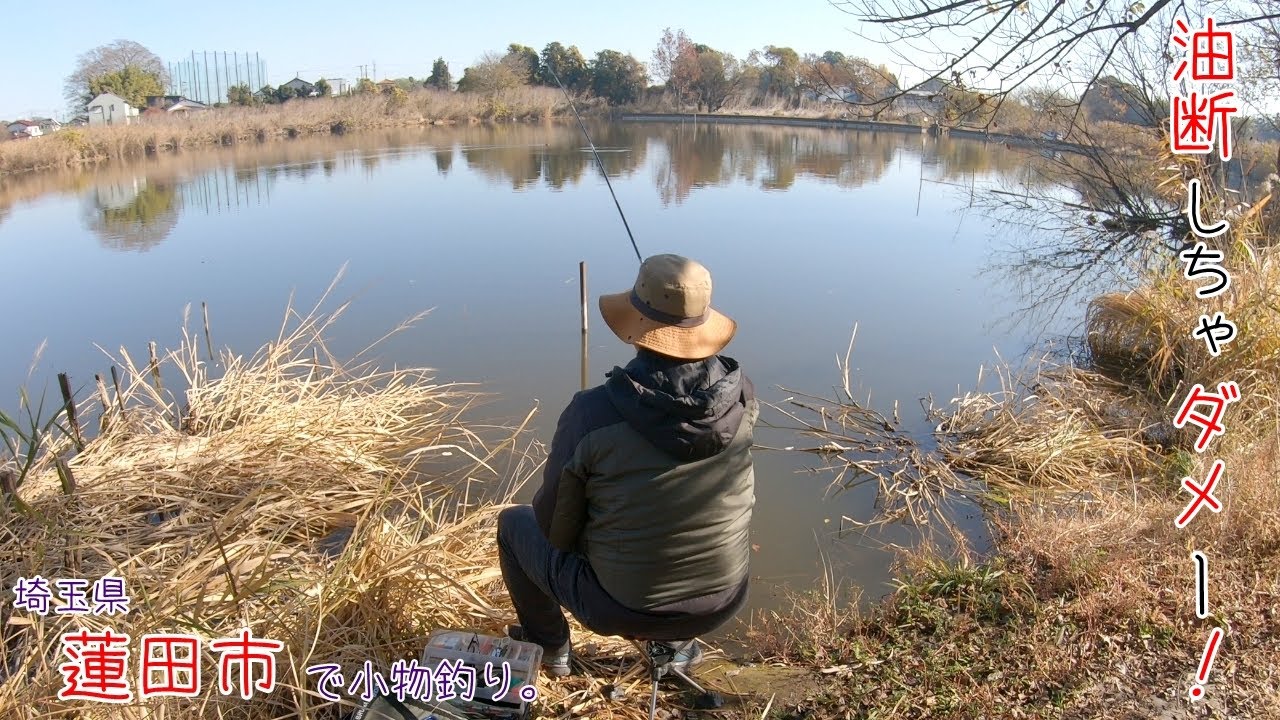 油断しちゃダメー！(^^;)  大物はいきなりやってくる！ 埼玉県 蓮田市で小物釣り。