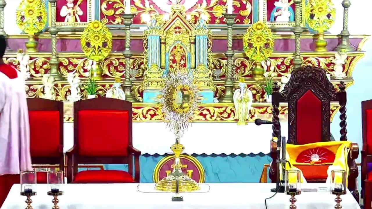 21 FEBRUARY 2026 -04.00PM ||  LIVE HOLY MASS  ||  VALLARPADAM SHRINE BASILICA