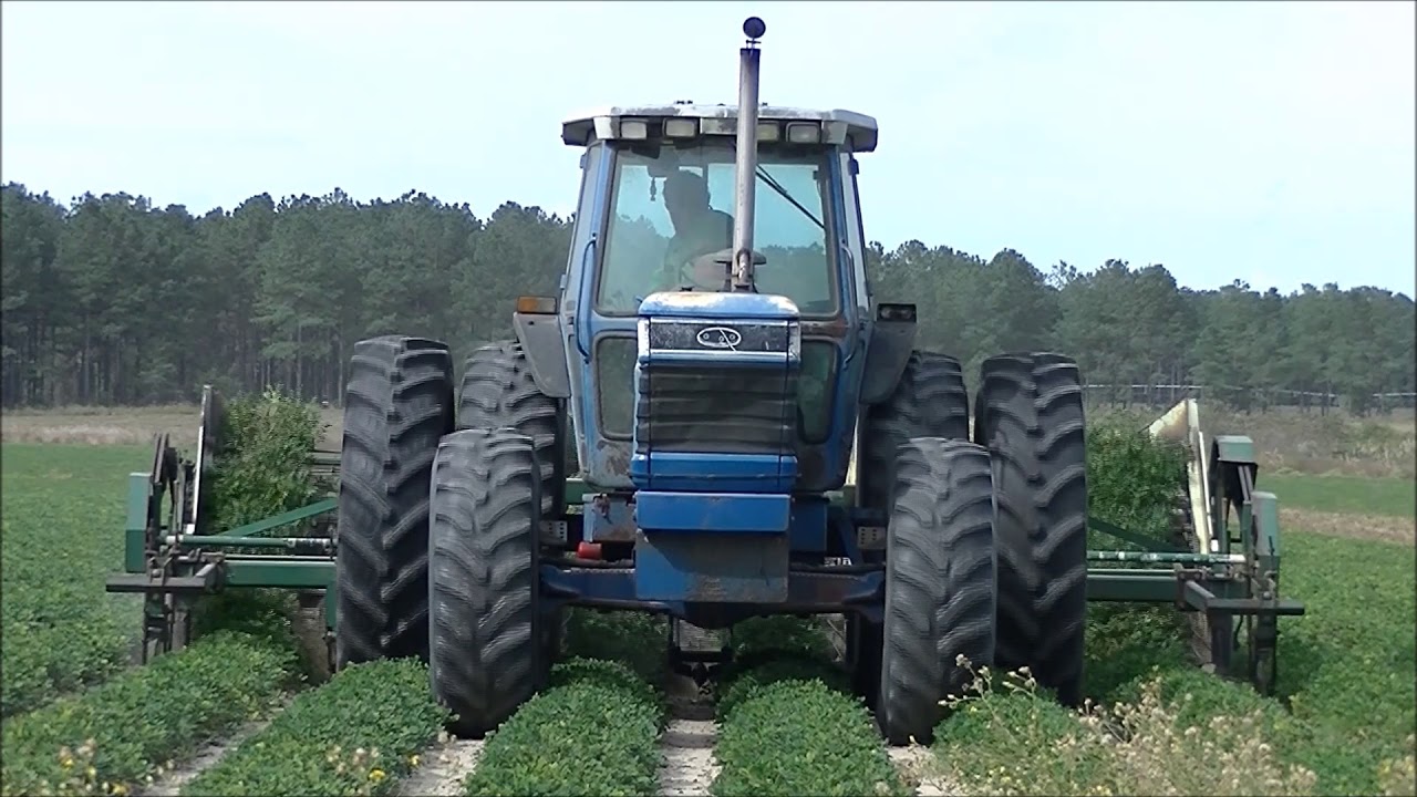 FORD 8830 POWERSHIFT INVERTING PEANUTS. DAVIS FARMS 2017 PEANUT HARVEST  3