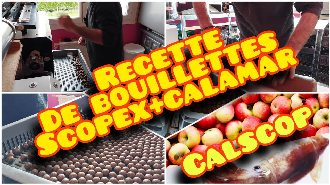 recette de bouillettes scopex+calamar