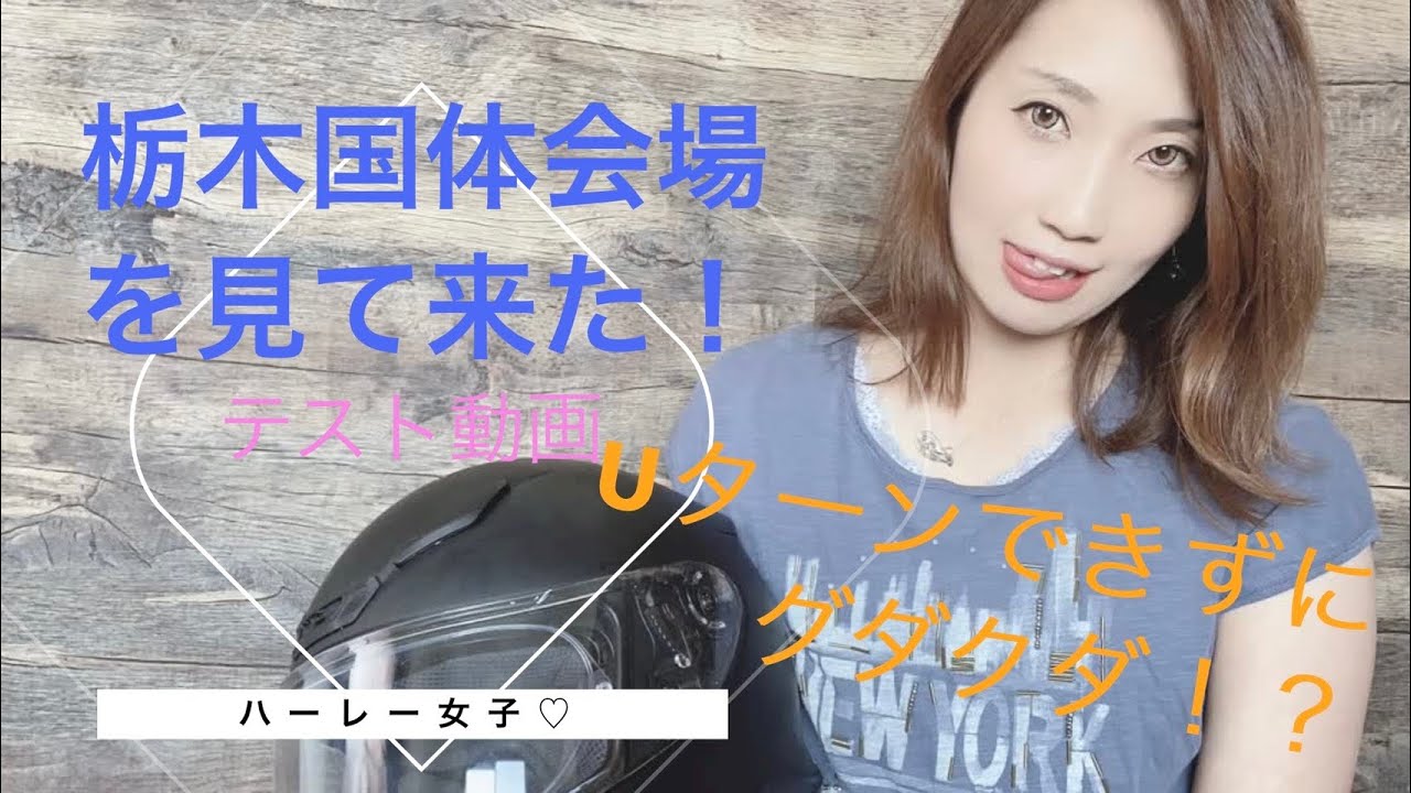 クオリティ注意‼️宇都宮国体会場までハーレーツーリングテスト動画　前編