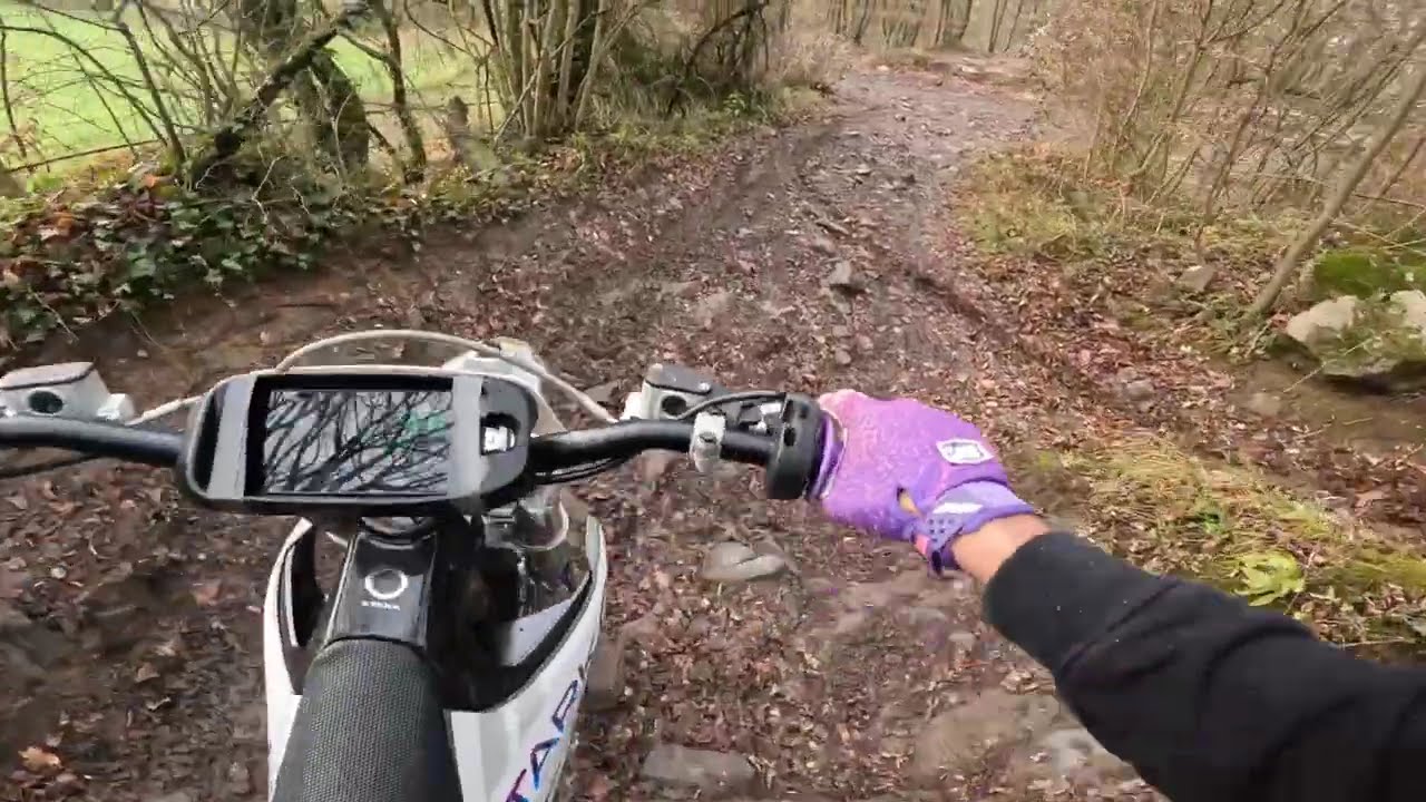 POV STARK VARG BILSTAIN