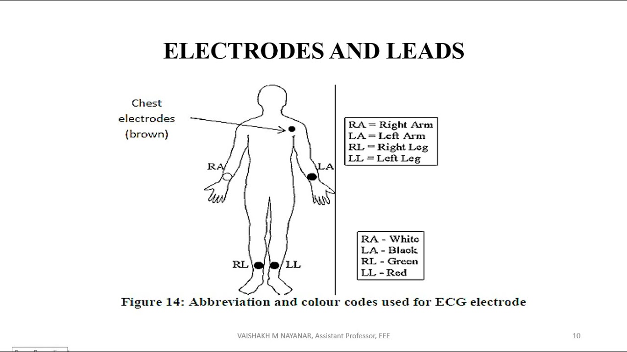 KTU|EEE372 | BMI | MODULE 2 | ELECTRO CONDUCTION SYSTEM OF HEART AND ELECTRO CARDIOGRAPPHY |